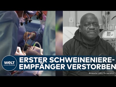 USA: Nur zwei Monate nach der Implantation! Erster Mensch mit Schweineniere gestorben!