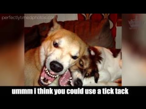 Shocking Post Mortem Photos Of Famous People