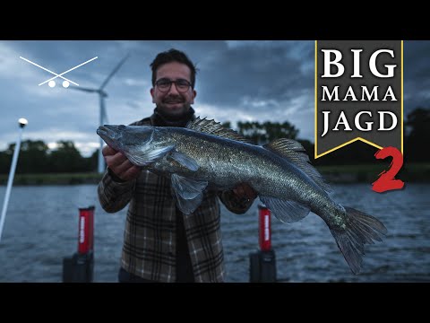 Big Mama Jagd - Teil 2 // Angeln auf dicke Hechte und Zander