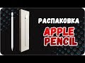 Apple MK0C2ZM/A - відео