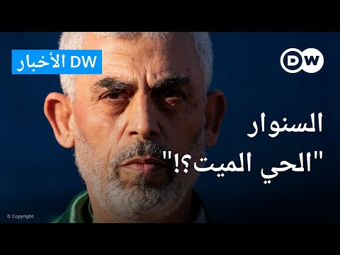 هل ستصل إسرائيل إلى السنوار وما تبعات ذلك؟ الأخبار