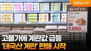 고물가에 계란값 급등…'태국산 계란' 판매 시작 / 연합뉴스TV (YonhapnewsTV)