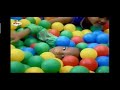 Baby Tv Gymboree Children Played Gymboree
