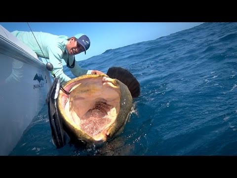 Monster Fishing on Shallow Florida Wrecks