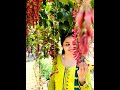 Ariyathe Ninne Ariyumbol ️ Pranaya Sougandhikangal Whatsapp Status Shorts Reels Love