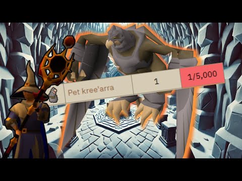 I Camped Kree'arra for 3 Hours... Now I'm LUCKY