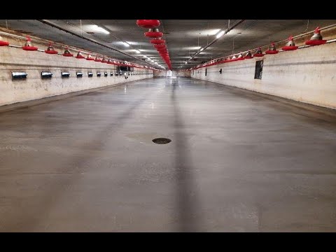 Zobacz filmy, Fox Bud Mateusz Lis, Grabowo