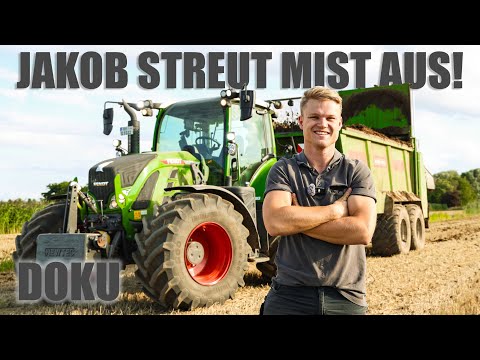 Jakob between farming and bull fattening | Documentary