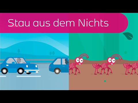 Stau aus dem Nichts in 3 Minuten erklärt