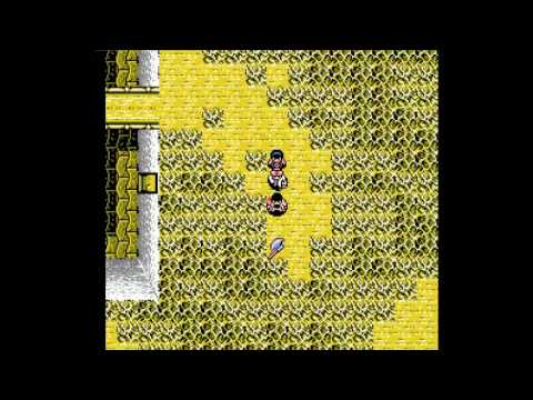 FernStream LP - Sweet Home 12 - Collecting the Last Few Items