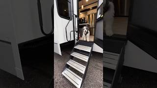 This front living fifth wheel is a BREATHTAKING BEAUTY! 2023 KZ Durango Gold 387FLF #rv