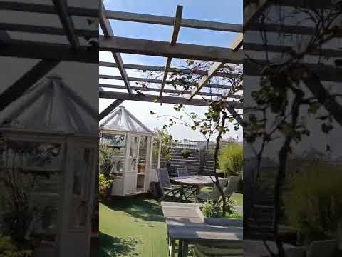 gazon artificiel peslouse synthétique faux-gazon