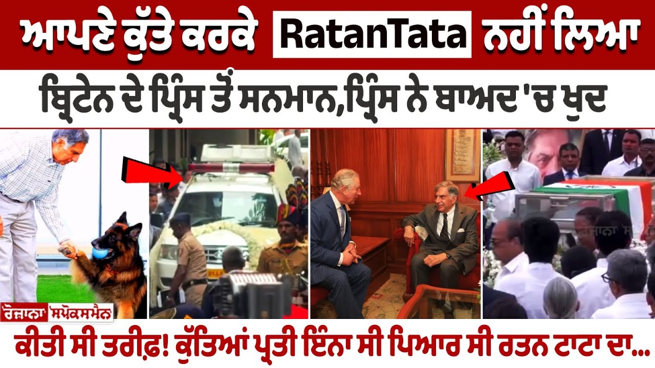 When Ratan Tata chose his dog over a British Royal award When Ratan Tata chose his dog over a British Royal award