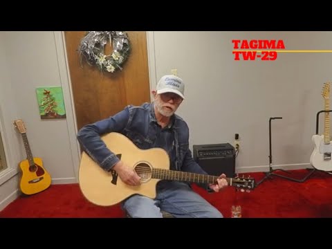 Tagima  TW-29 A/E Guitar