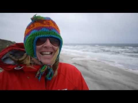 Wind Battered West Coast, Denmark