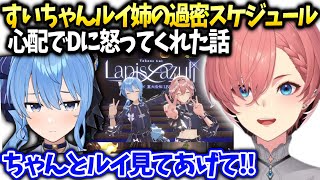 ルイ姉すいちゃんが音楽の相談のってくれて星街家でご飯食べた話【鷹嶺ルイ/ホロライブ】