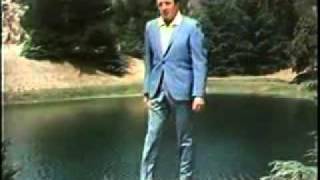 Vic Damone - Look what I found.mov