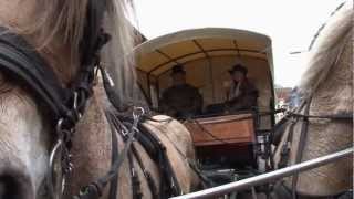 preview picture of video 'Doesburg per paard en wagen'