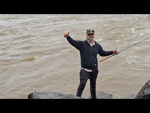 PESCA DE MONCHOLOS GIGANTES EN LA ISLA DEL CERRITO!!