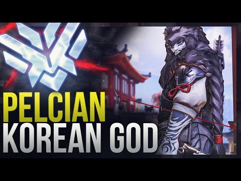 PELICAN - KOREAN DPS PRO WITH INSANE MOVEMENT AND AIM - Overwatch Montage