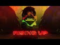 Buju Banton | Rising Up (Official Audio) | Upside Down 2020