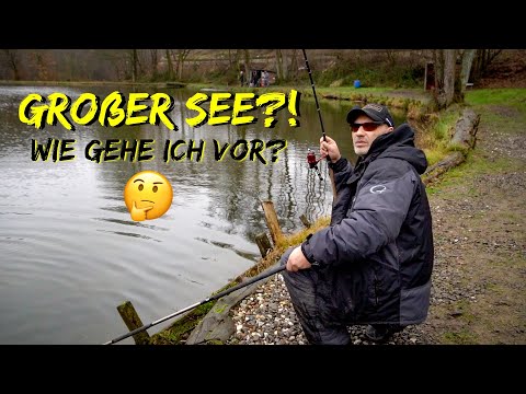 Forellenangeln Am großen See : wie gehe ich vor ?! 🤔 so fängst du immer und überall 😉