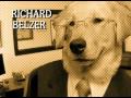 Law Order
