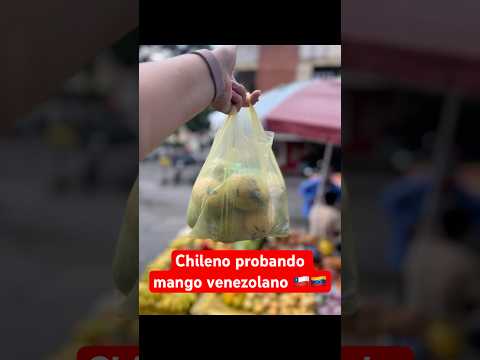 Chileno probando mango venezolano #mango #valera #vzla #chileno #foodie #trujillo