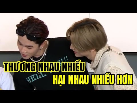 ĐỨC ỨNG × TRẦN BÌNH | FUNNY MOMENTS | CĐCĐ cut         #D1VERSE #ĐỨC #BÌNH
