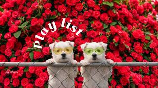 Download lagu 𝐏𝐥𝐚𝐲𝐥𝐢𝐬𝐭 🌹 Heart going absolutely feral — spring Pop Ballad · R&B that's a proper ripper 🎵 mp3