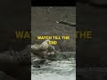 Tiger Vs Crocodile Nayak Nahi Khalnayak Hu Main Lion Status Shorts Shortsvideo Lionattitude