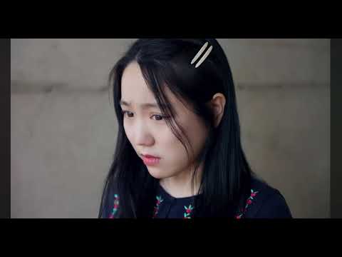비디오 6