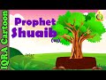 Prophet Stories SHUAIB (AS) | Islamic Cartoon | Quran Stories | Islamic Children Kids Videos - Ep 09
