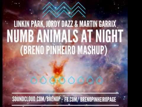 Linkin Park, Jordy Dazz, Martin Garrix, Riggi & Piros - Numb Animals At Night (Breno P. Mashup)