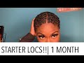STARTER LOCS | ONE MONTH | COMB COILS | OH JUU
