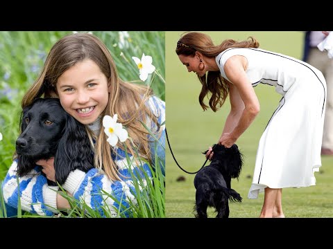 Royal Fans Discover Prince William and Princess Kate Have a New Dog During Snowy Kensington Palace ‎