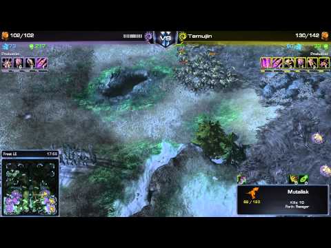 SC2 - Hairy Bash 2014 #2 - GF - ZvZ - Petraeus vs EnDerr - G3