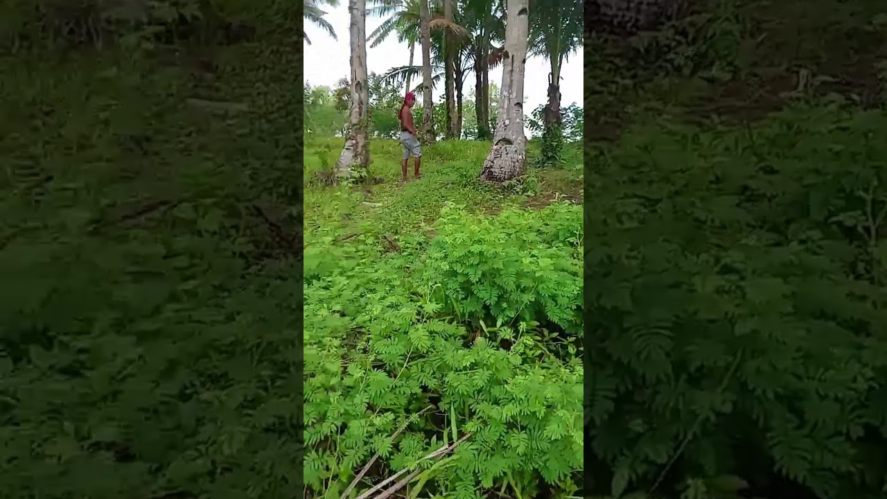 #titanic #enjoy #nature #putot