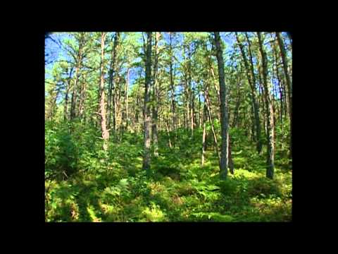 Get to know Grafton County