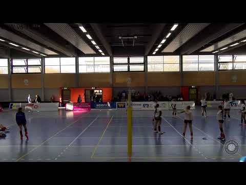 Volleyball Dritte Liga Süd | TV 05 Waldgirmes vs. MTV Ludwigsburg