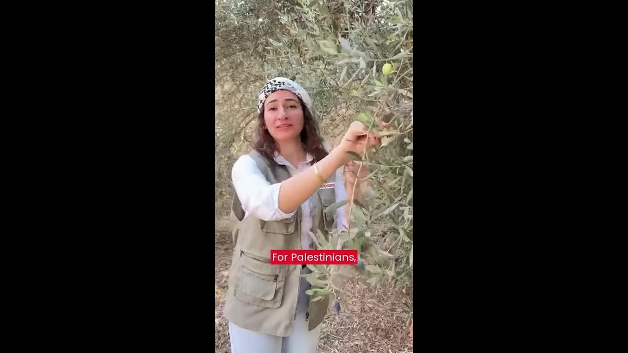 International Day of Solidarity with the Palestinian People