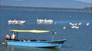 PALOMA SAN BASILIO  COLECCIÓN