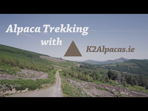 download lagu mp3 mp4 K2alpacas, download lagu K2alpacas gratis, unduh video klip K2alpacas