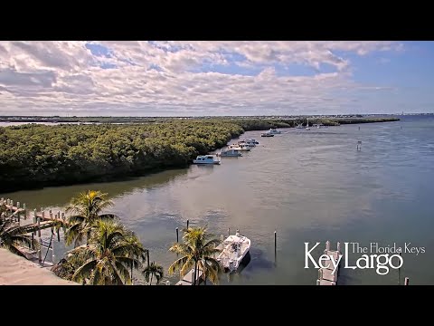 Jewfish Creek Bridge, Live WebCam - Key Largo, Florida Keys