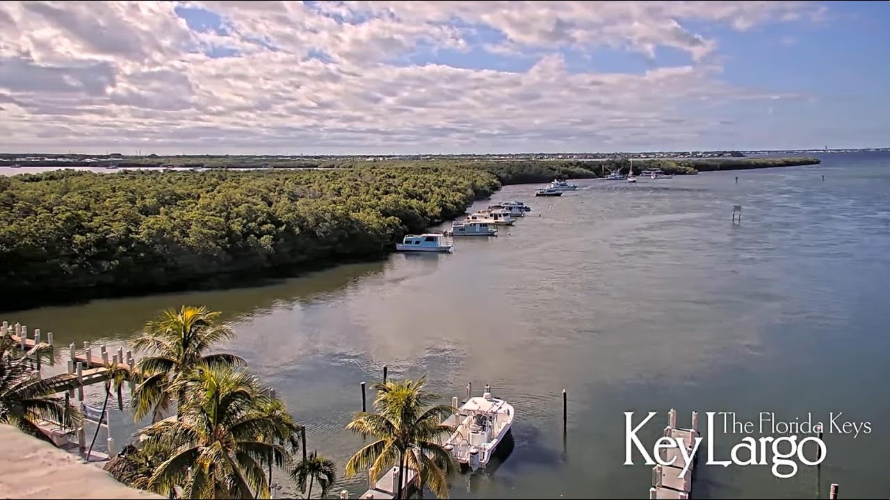 Live webcam view of Jewfish Creek Bridge & Marina