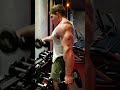 Front Raises hammer/traditional
