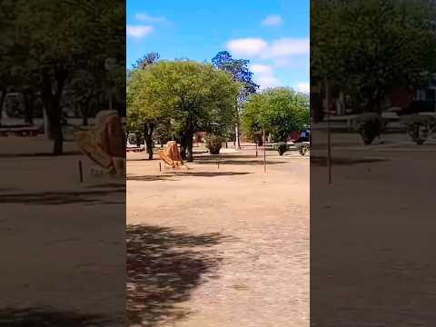 AMBUL, PROVINCIA DE CÓRDOBA, ARGENTINA.#ambul