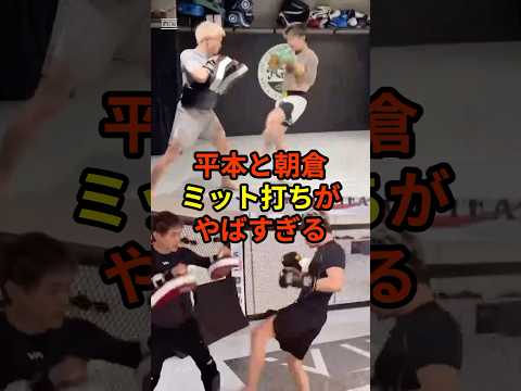 平本蓮、朝倉未来ミット打ちが話題#格闘技#朝倉未来#平本蓮#rizin#ufc