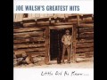 Joe Walsh - A Life Of Illusion 