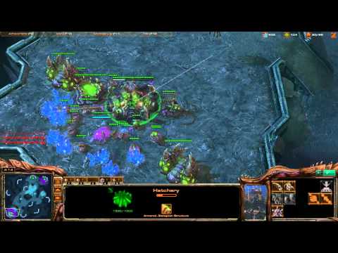 Destiny (Z) vs. VTgiX (Z) [Game 3] - Starcraft 2 Tournament (eP Monthly #3 January)